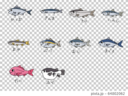Sea fish 64802062