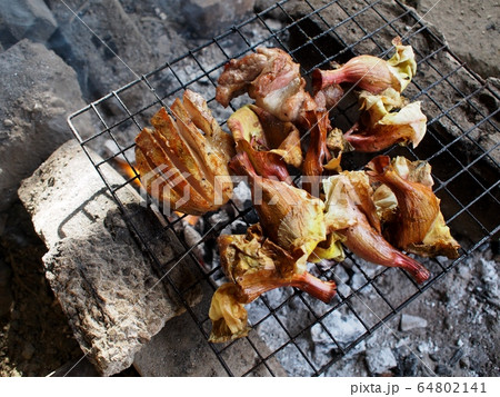 outdoor wood grill stove in primitive style home kitchen in rural vintage cottage house authentic shot in countryside house outdoor wood grill stove in primitive style home kitchen in rural vintage cottage house authentic shot in countryside house 64802141