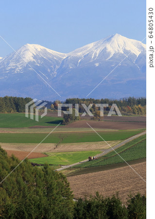 北海道 美瑛 丘の風景 北海道 美瑛 丘の風景 64805430