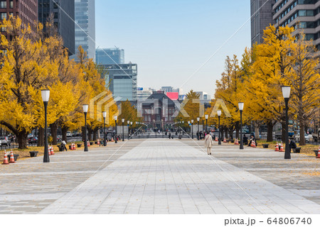Buildings in Tokyo with autumn leaves 64806740