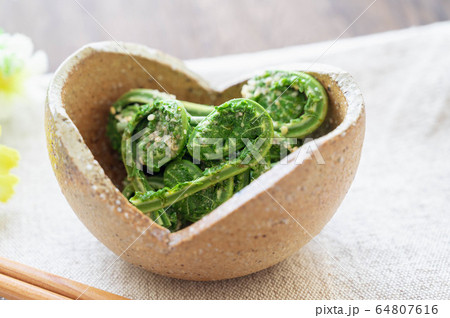 こごみの胡麻和え こごみの胡麻和え 64807616