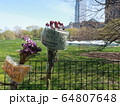 COVID-19 NYC セントラルパーク仮設病院 64807648