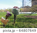 COVID-19 NYC セントラルパーク仮設病院 64807649