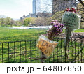 COVID-19 NYC セントラルパーク仮設病院 64807650