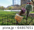COVID-19 NYC セントラルパーク仮設病院 64807651