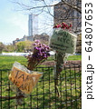 COVID-19 NYC セントラルパーク仮設病院 64807653