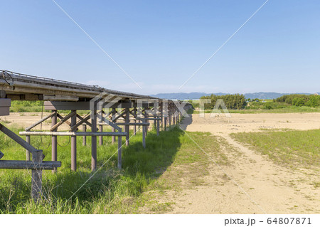 流れ橋　(5月　こうづやばし　京都) 64807871