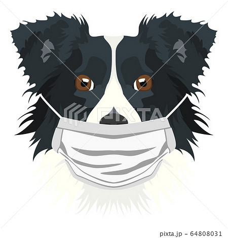 Illustration Dog border collie with respirator 64808031