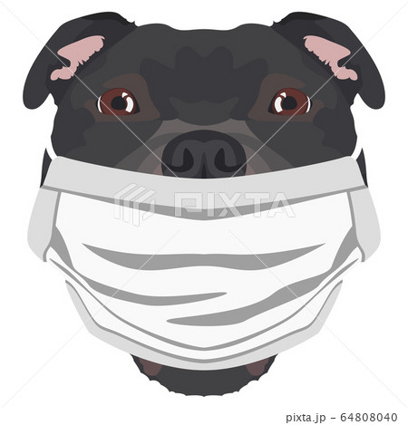 Illustration dog Staffordshire Bullterier with 64808040