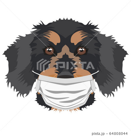 Illustration wire-haired dachshund with respirator 64808044
