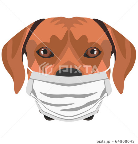 Illustration Rhodesian Ridgeback dog with 64808045