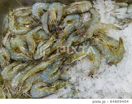 Raw freshwater shrimps on frozen ice at seafood market 64809404