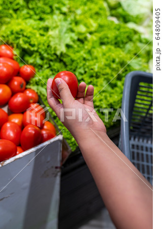 Woman hand picking tomato at grocery store 64809405