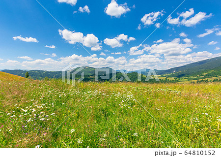 summer scenery of mountainous countryside. alpine 64810152