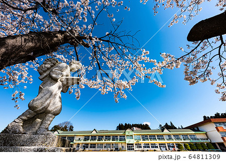 二宮金次郎像サクラの小学校 64811309