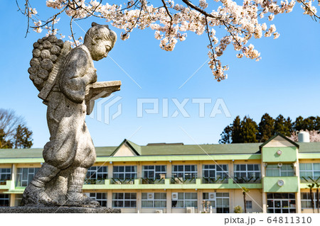 二宮金次郎像サクラの小学校 64811310