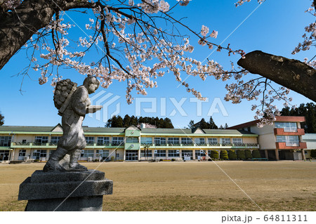 二宮金次郎像サクラの小学校 二宮金次郎像サクラの小学校 64811311