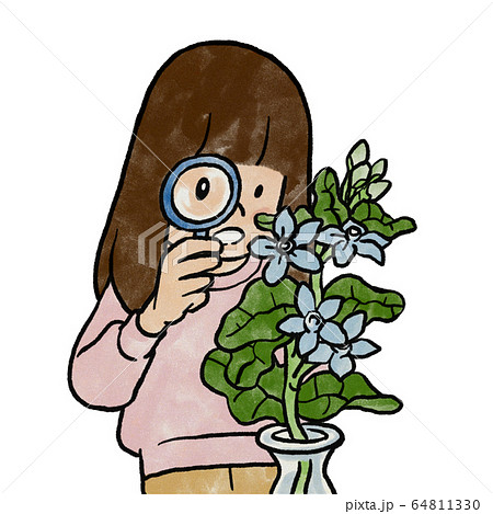 花を虫眼鏡で観察する女の子のイラスト素材