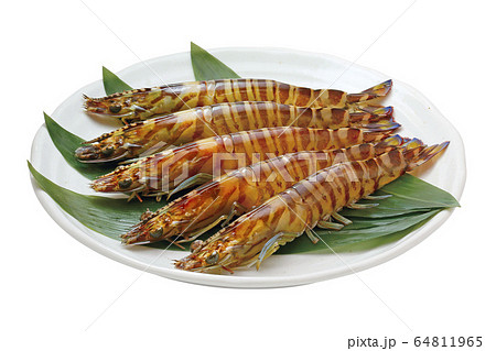 クルマエビ_08（切抜きパス付） 64811965