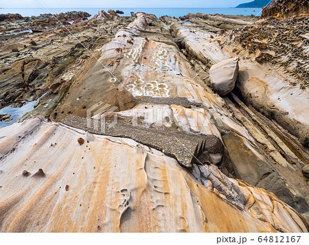 竜串海岸の奇岩群 竜串海岸の奇岩群 64812167