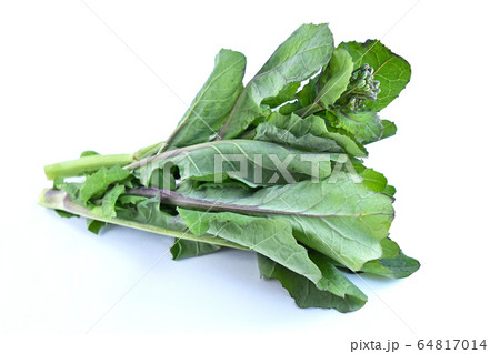 のらぼう菜 64817014