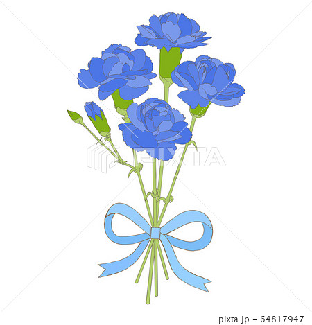 カーネーション 花束 ブルーのイラスト素材