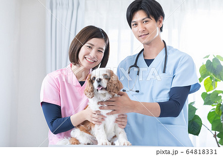 獣医さんとキャバリア 獣医さんとキャバリア 64818331