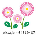 花　デイジー 64819487