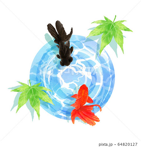 手描き水彩 金魚のイラスト 07のイラスト素材