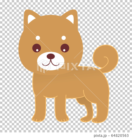 柴犬狗圖 柴犬狗圖 64820563