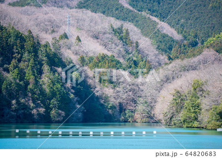 玉淀ダム　景色　埼玉県寄居町　 64820683