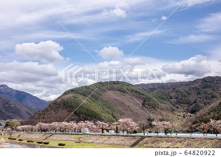 長野県 山と桜の風景 自然 spring mountain 長野県 山と桜の風景 自然 spring mountain 64820922