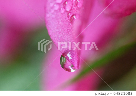 水滴 花 水滴 花 64821083