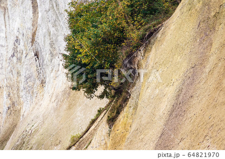 Baltic Sea coast on the island Ruegen, Germany 64821970