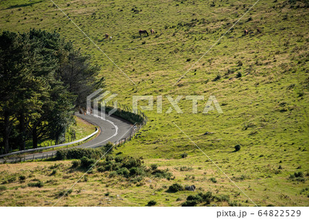 Green meadow with horses grazing. Empty countryside road turns to the left. Spain, Basque Country Green meadow with horses grazing. Empty countryside road turns to the left. Spain, Basque Country 64822529