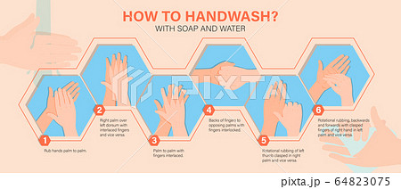 Health care educational infographic, how to wash Health care educational infographic, how to wash 64823075
