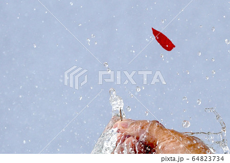 水風船割り連続写真 その9 水風船割り連続写真 その9 64823734