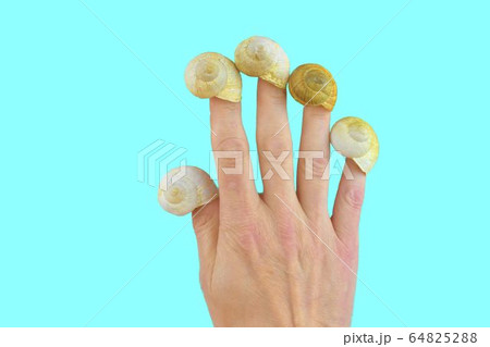 Empty snail houses on the fingers of a hand. Empty snail shells. Mortgage concept. Color aqua. Copy space - mortgage loan, take out a mortgage... 64825288