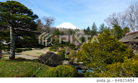 忍野村の桜と富士山 忍野村の桜と富士山 64825804