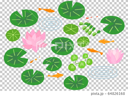 Water lily medaka water lily bowl 64826168