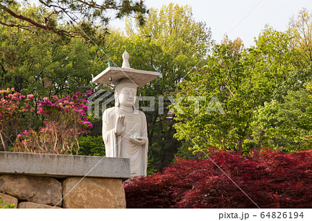 奉恩寺 弥勒大仏 仏 64826194