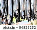 さんま ５ 64826252