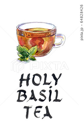 Cup of herbal tea with green tulsi leaves Stock Illustration