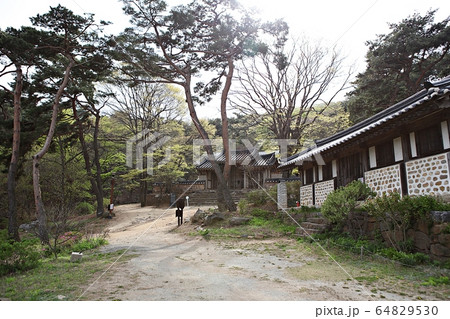 伝燈寺 節 寺院 64829530