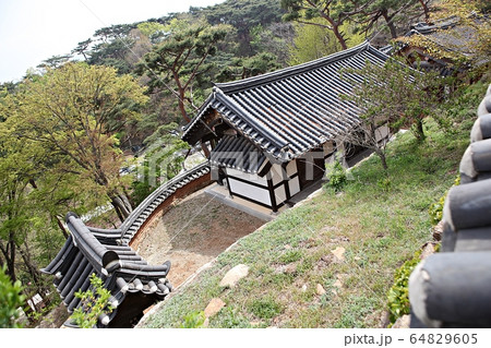 伝燈寺 節 寺院の写真素材 [64829605] PIXTA