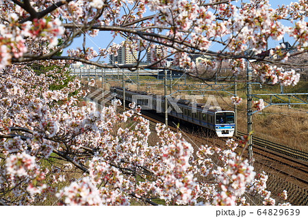 北総線 7800形 ほくそう さくら 白井 北総線 7800形 ほくそう さくら 白井 64829639