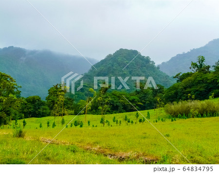 Arenal volcano national park, Alajuela, San 64834795