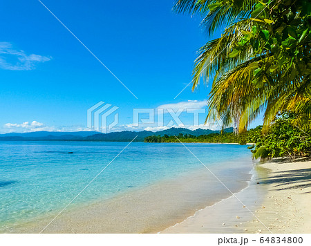 Beach in Cahuita National Park, Caribbean Coast, Beach in Cahuita National Park, Caribbean Coast, 64834800
