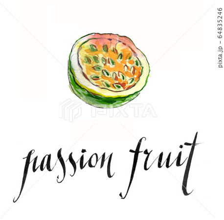 Watercolor passion fruit 64835246
