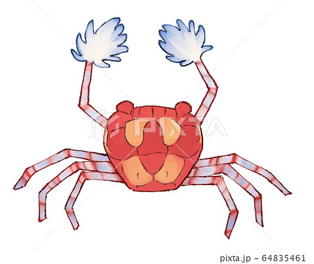 キンチャクガニ 挿絵 イラストのイラスト素材